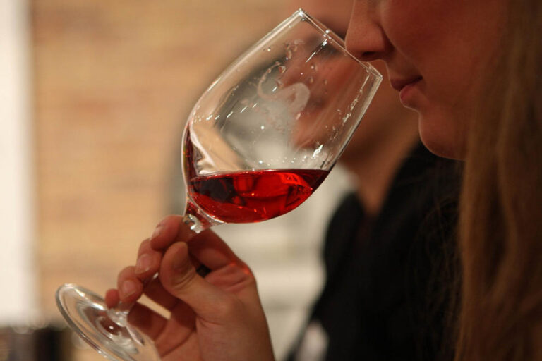 Cata de vino