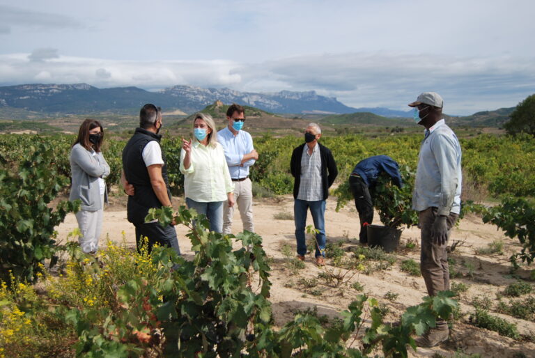 Visita cooperativa Señorío de la Estrella