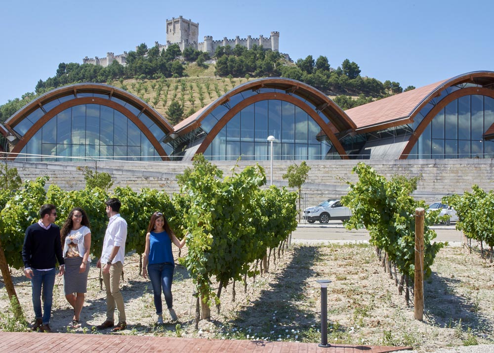 Bodegas Protos (Exterior)