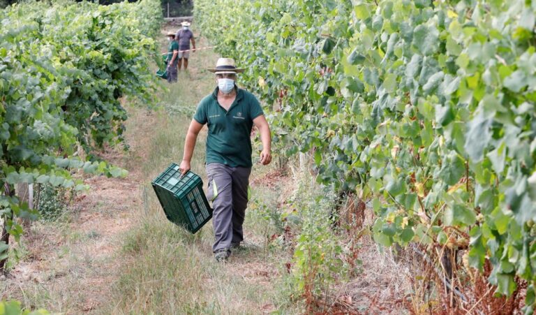 DO Cava