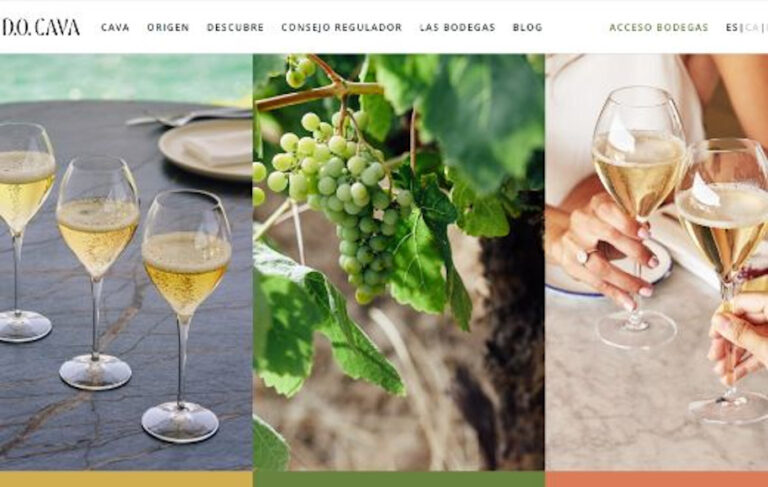 DO Cava Remodelación web