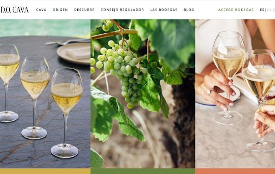 DO Cava Remodelación web