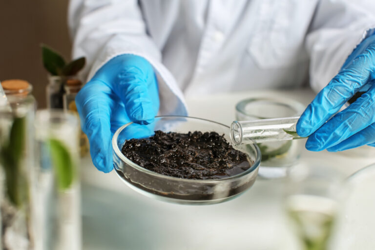 Scientist working with soil in laboratory