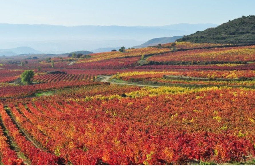 Ruta del Vino Rioja Alavesa