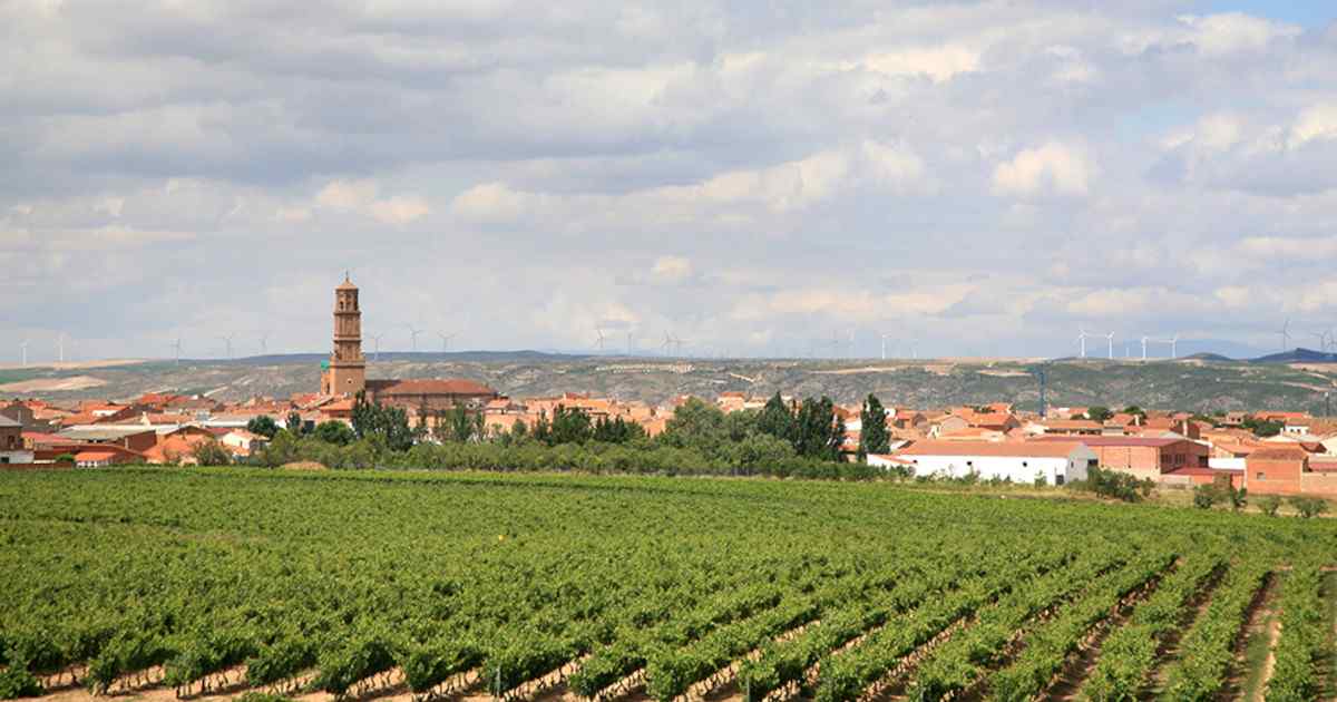 Aldeanueva del Ebro, Ciudad del Vino