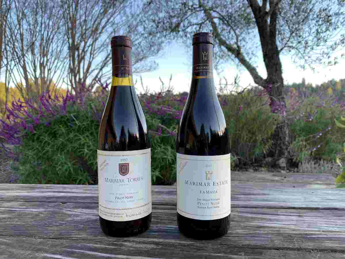 La Masía Pinot Noir