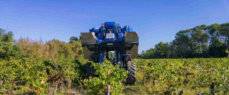 Las bodegas de Rioja cubren el coste efectivo de producción en el año más complicado