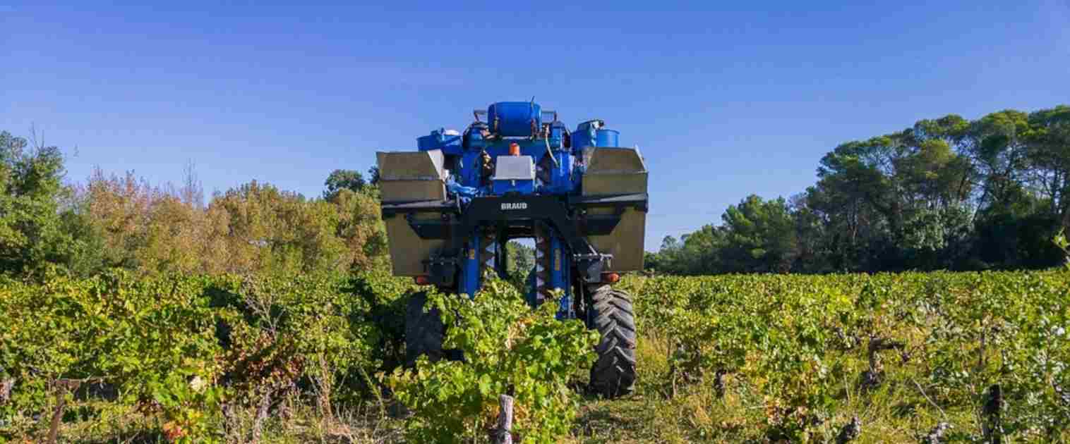 Las bodegas de Rioja cubren el coste efectivo de producción en el año más complicado