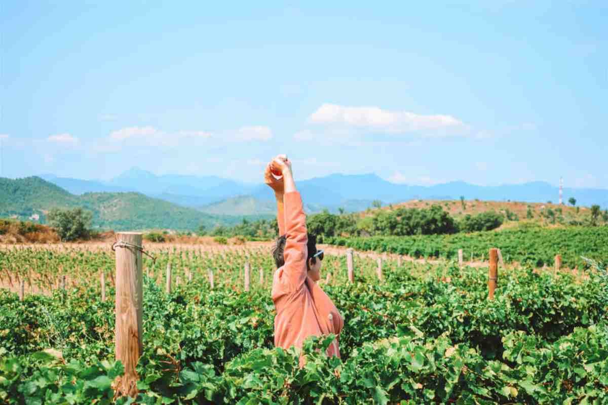Baluarte, una bodega diferente (Web)