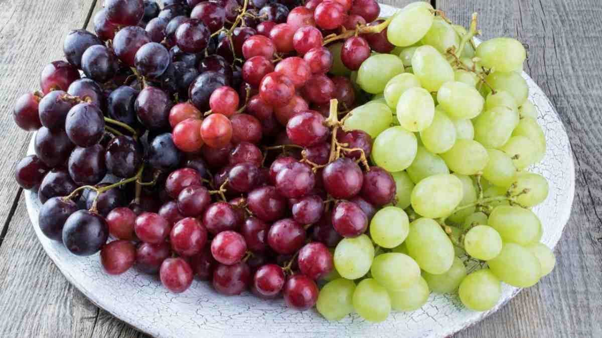 Fin a los aranceles al vino (Web)