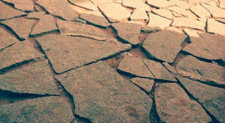 El Primer Simposio de Viticultura Regenerativa se celebra en el Día mundial contra la desertificación y la sequía
