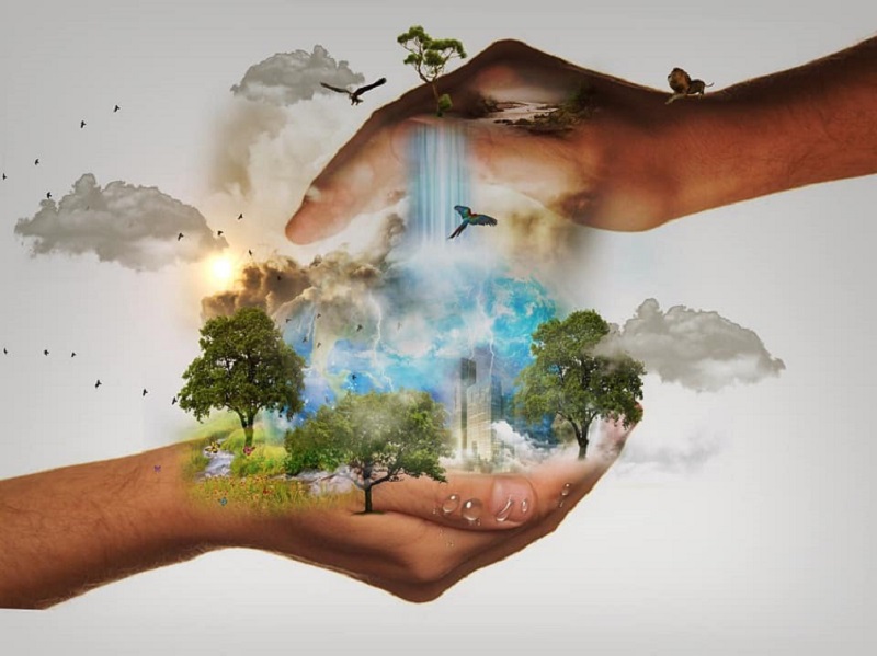 BIODIVERSIDAD