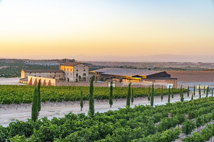 Vardon Kennett winery, Torres Wines, Penedes, Catalonia, Spain