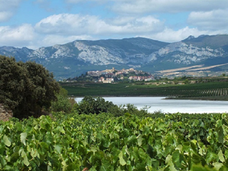 Laguardia Rioja Alavesa