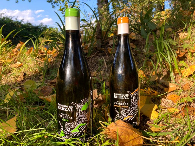 PARCELAS Blancos - Bodegas Dominio de Berzal