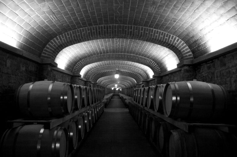 Ruta Primaveral por 23 bodegas en la Rioja Alavesa