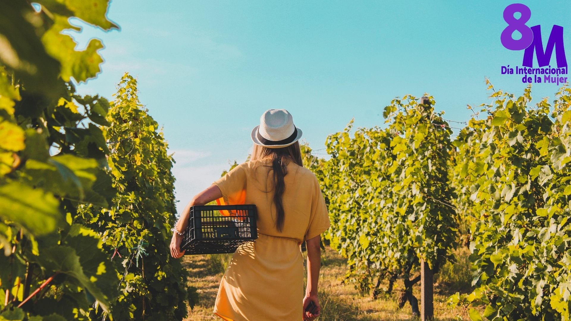 8M. 8 Mujeres y 8 Vinos