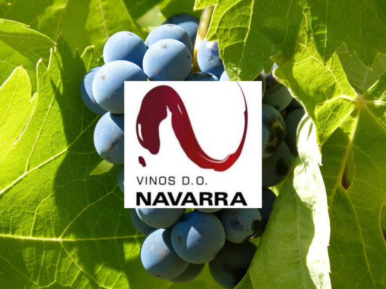 Denominacion de Origen Navarra. Garnachas