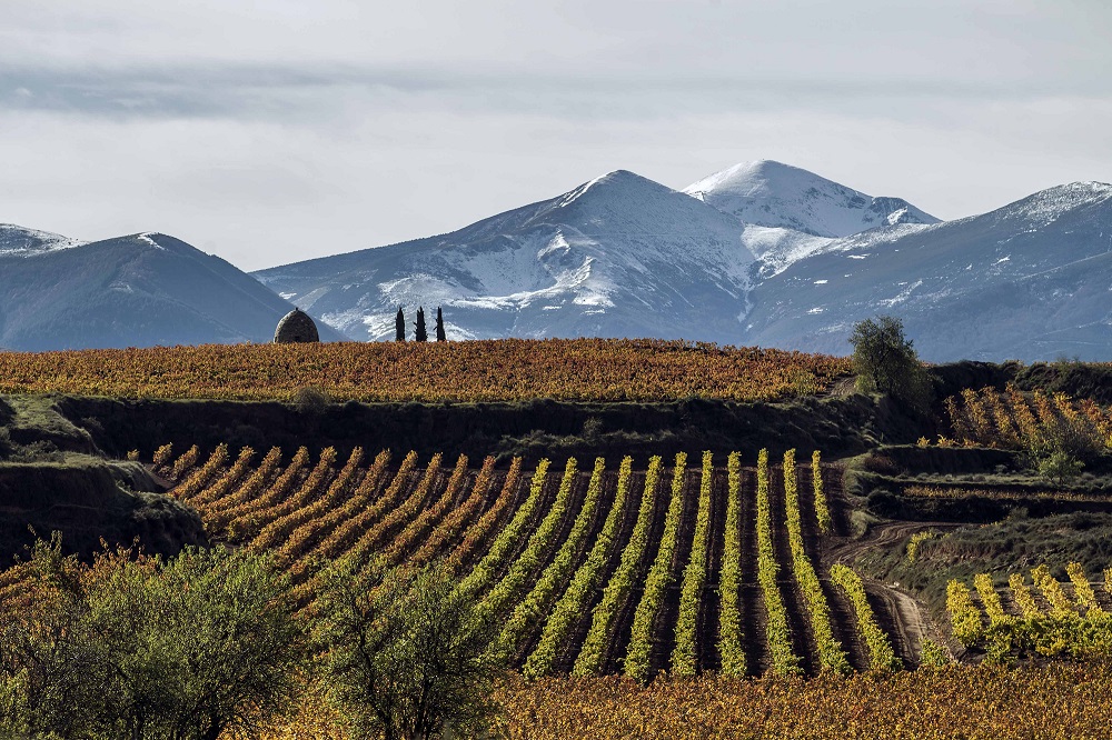 Rioja Alta, Badaran, San Lorenzo
