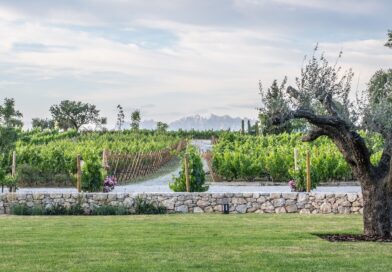 <strong>Familia Torres convierte su bodega en uno de los escenarios del festival <em>Ressons Penedès by Cruïlla</em></strong>