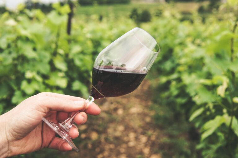 elaboración vino rioja