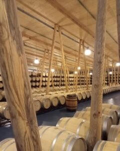 Bodega Bela