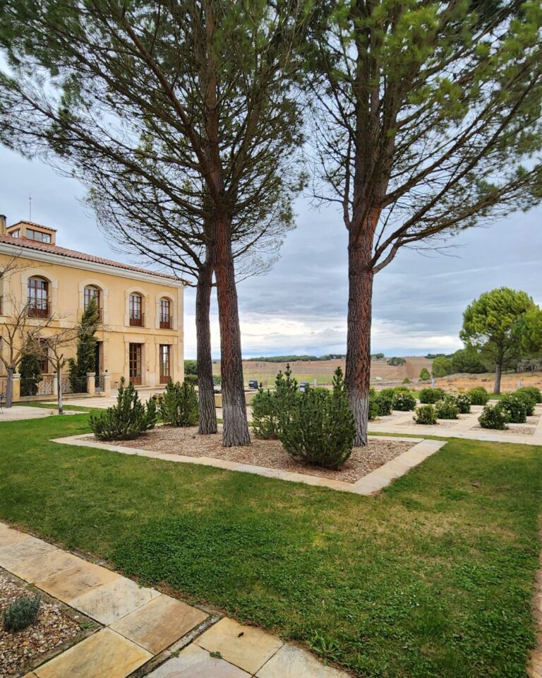 Bodegas Áster_ excelencia vitivinícola en el corazón de Ribera del Duero burgalesa 01