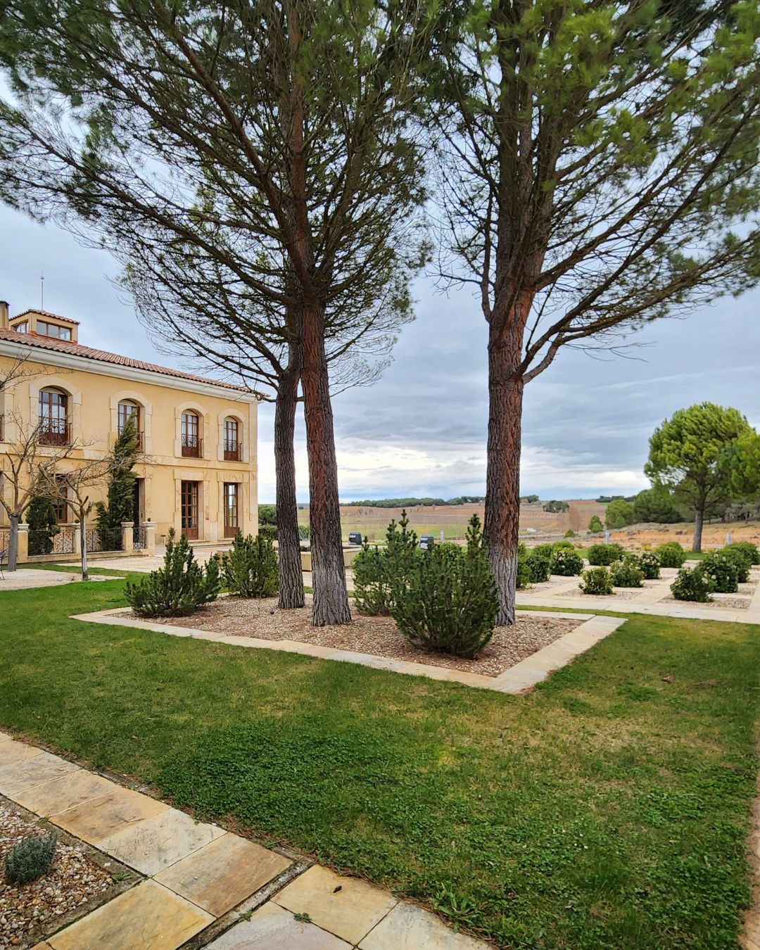 Bodegas Áster_ excelencia vitivinícola en el corazón de Ribera del Duero burgalesa 01