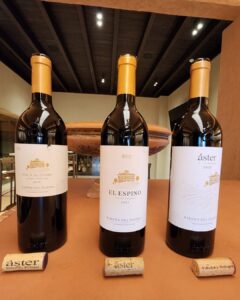 Bodegas Áster vinos