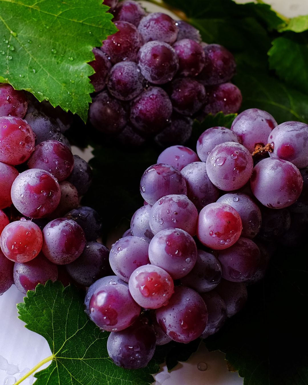CONGRESO VITICULTURA BIODINÁMICA 2025_ IMPULSO A LA INNOVACIÓN Y AL VALOR AÑADIDO EN NUESTROS VINOSFinca Torremilanos – Aranda de Duero, Burgos – 3 y 4 de abril de 2025 01