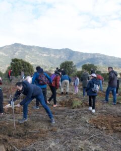 Jornada de plantación de frutales en el viñedo
