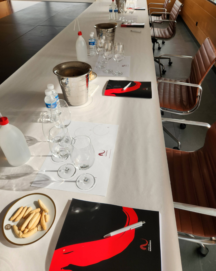 cata de vinos DO Navarra 2025