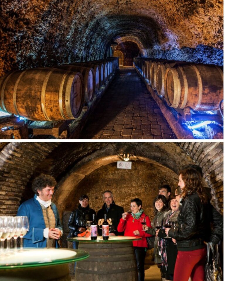 Visita Bodega El Fabulista en Laguardia_ una experiencia única entre vino e historias 02