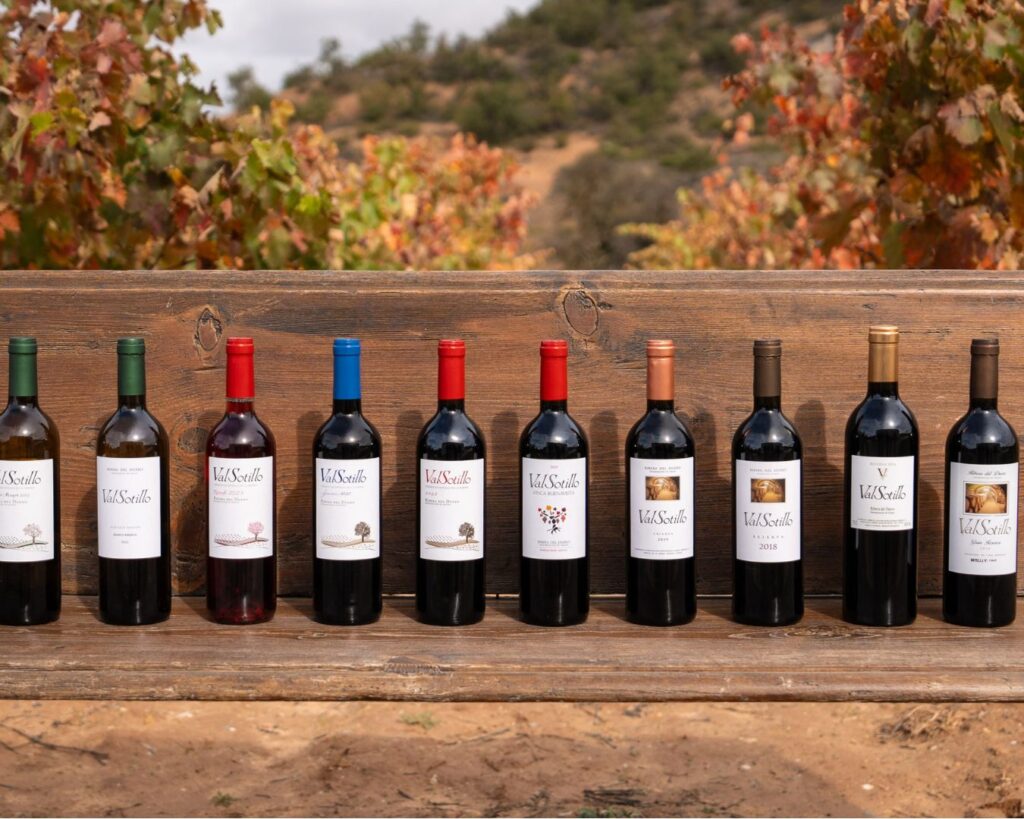 Bodegas Ismael Arroyo – ValSotillo