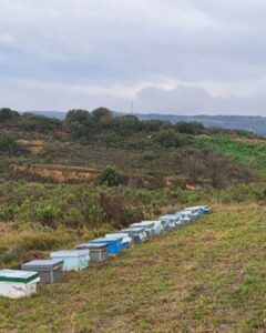 Bodegas Murua: Un Compromiso con el Ecosistema