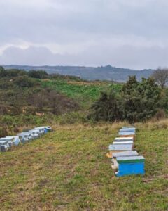 Bodegas Murua: Un Compromiso con el Ecosistema