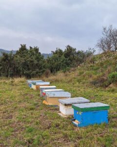 Bodegas Murua: Un Compromiso con el Ecosistema