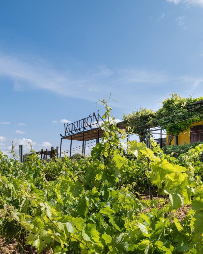 Bodegas Valdubón Ribera del Duero