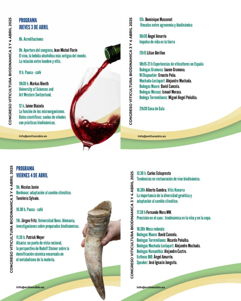 Congreso de Viticultura Biodinámica en Torremilanos: un éxito para el futuro del vino sostenible
