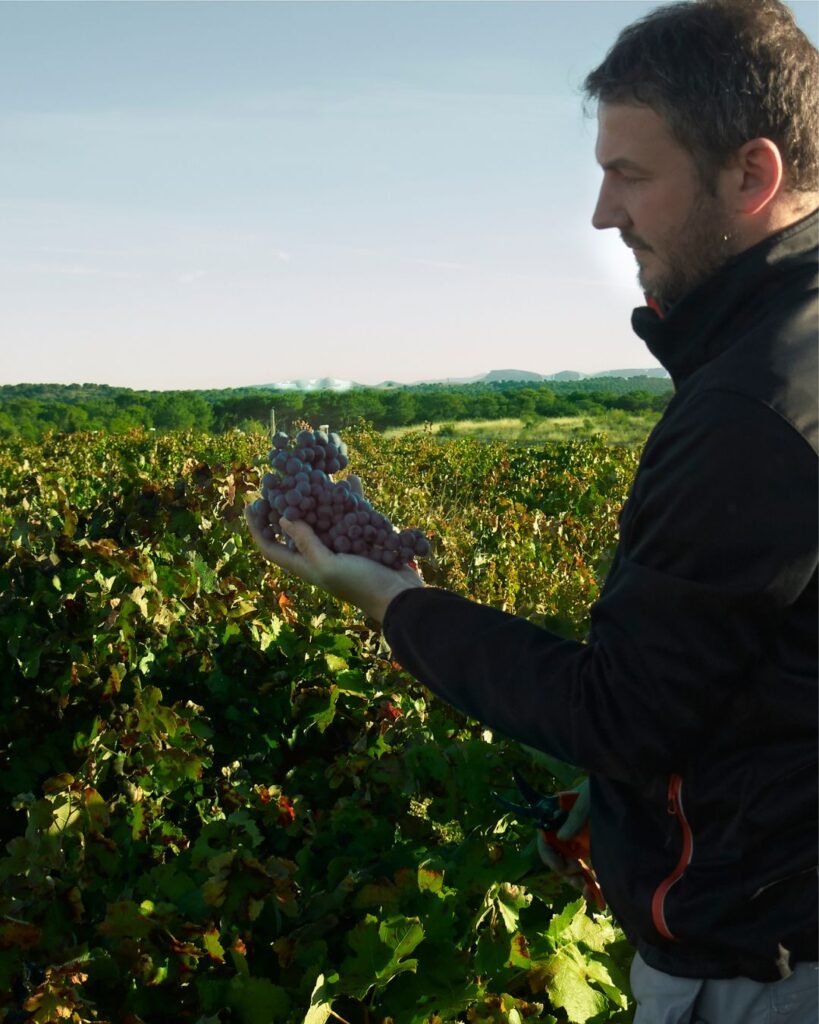 Territorio Luthier enoturismo Ribera del Duero