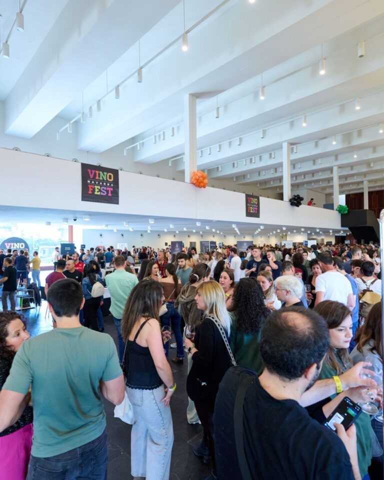 Vinofest Navarra 2025