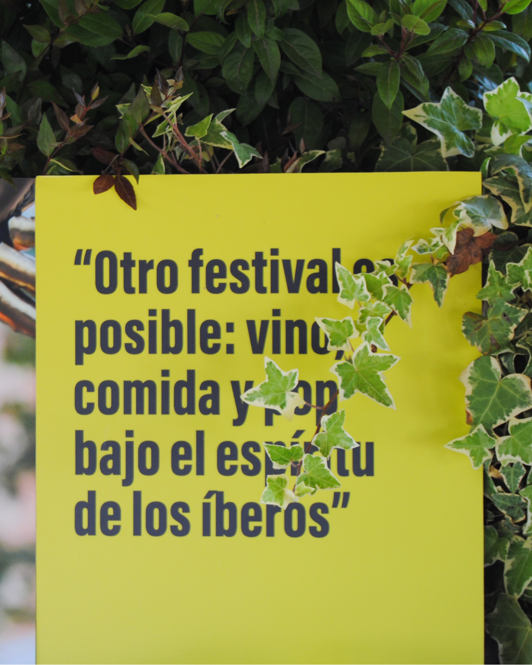 Esférica Rioja Alavesa 2025_ música, vino y experiencias únicas dentro de los Festivales Territorio 03