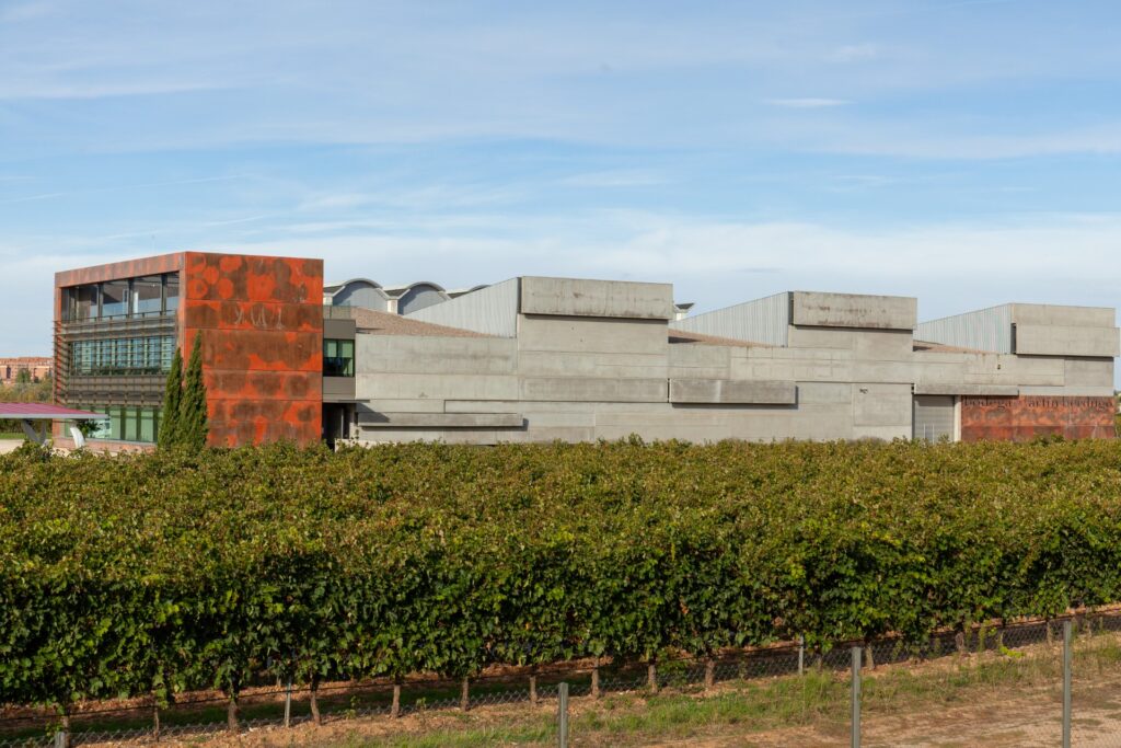 Bodega Martín Berdugo