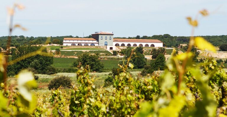 Bodegas Nabal: pasión y respeto al vino en el corazón de la Ribera del Duero Burgalesa