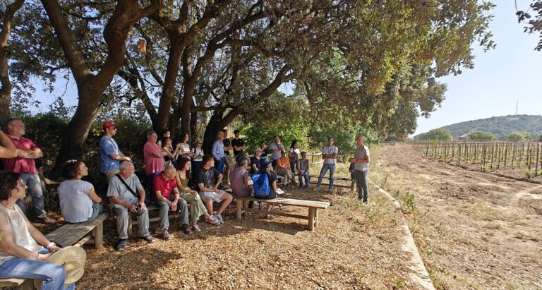 Familia Torres abre sus puertas para compartir su experiencia en viticultura regenerativa