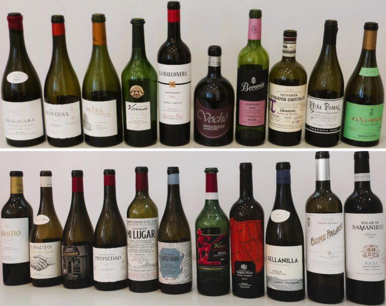 Grupo Rioja celebra la ‘Cata Tendencias 2025’: un viaje por la diversidad de estilos, variedades y territorios