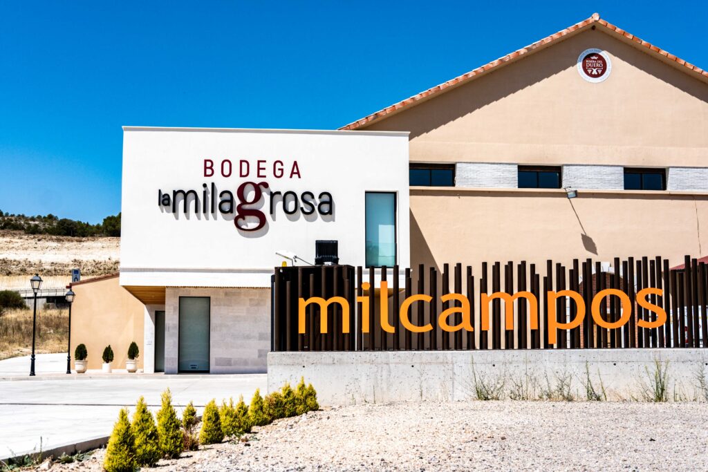 Bodega La Milagrosa: Tradición, Innovación y Pasión en la Ribera del Duero burgalesa