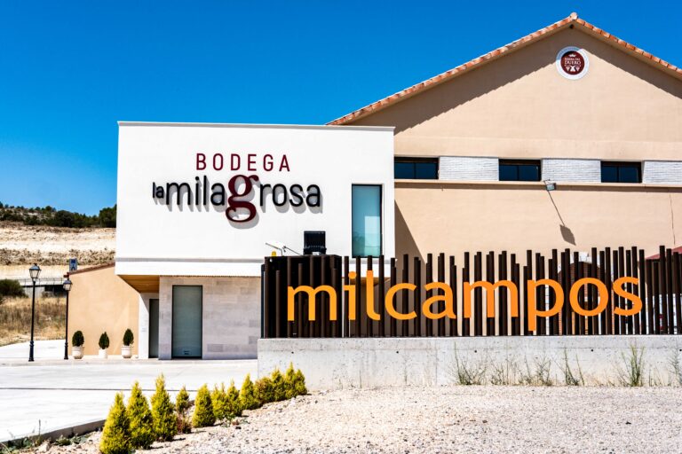 Bodega La Milagrosa: Tradición, Innovación y Pasión en la Ribera del Duero burgalesa