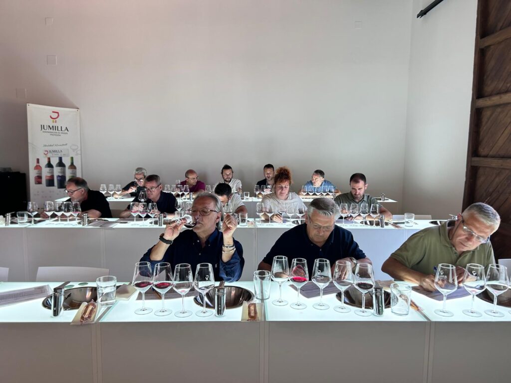 La añada 2024 en la DOP Jumilla es calificada como “Muy Buena” por su frescura, fruta y potencial de guarda
