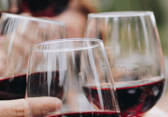 Ribera del Duero prosiguió su compromiso con el Proyecto Pintia Vaccea: 8 años de alianza en favor del patrimonio